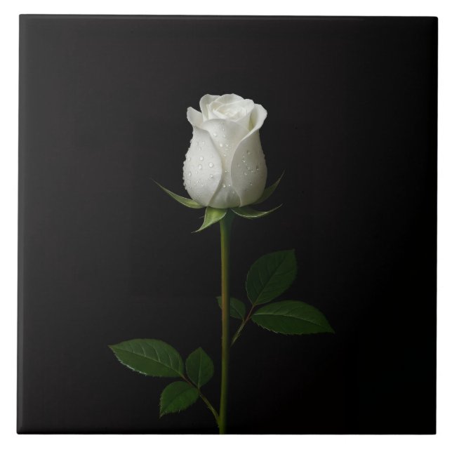Black 4 Luxe Tile with Pure White Rose Fliese (Vorderseite)