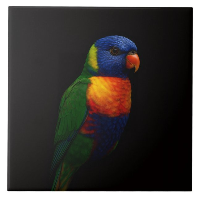 Black 4 Luxe Tile with Rainbow Lorikeet Parrot Fliese (Vorderseite)