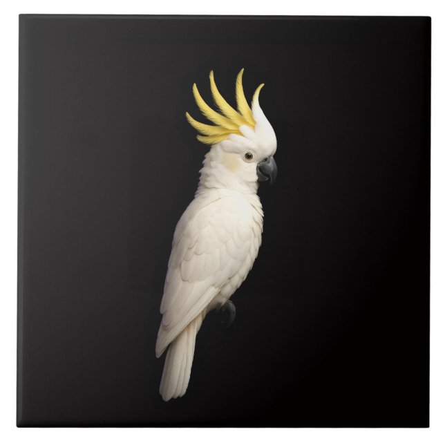 Black 4 Luxe Tile with Sulphur Crested Cockatoo Fliese (Vorderseite)