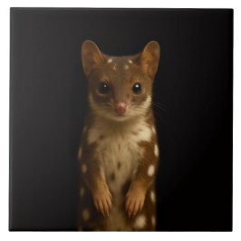 Black 4 Luxe Tile with Sweet Quoll Fliese