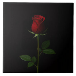 Black 4 Luxe Tile with Velvet Red Rose Fliese