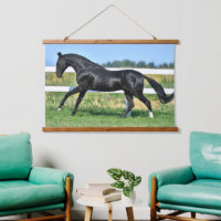 Black Akhal Teke Stallion Galloping Paddock Zaun