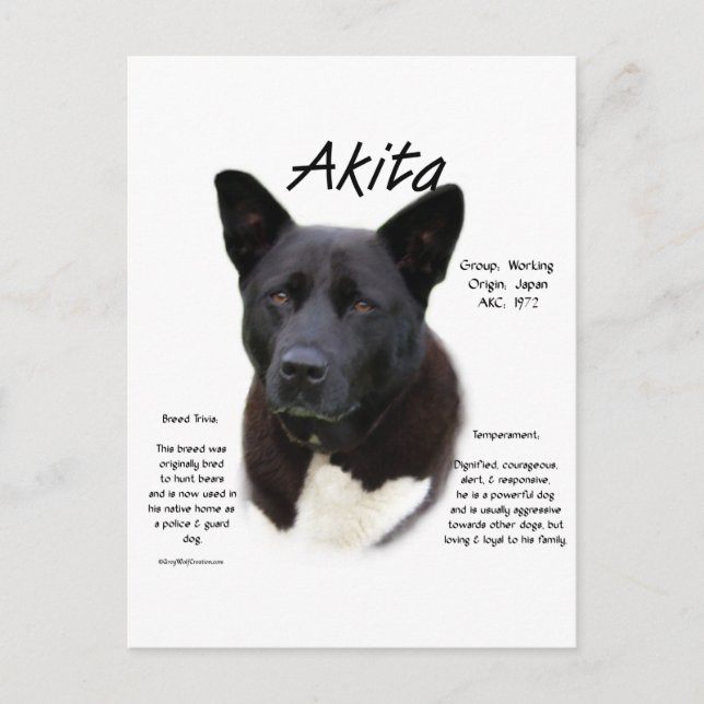 Black Akita History Design Postkarte (Vorderseite)