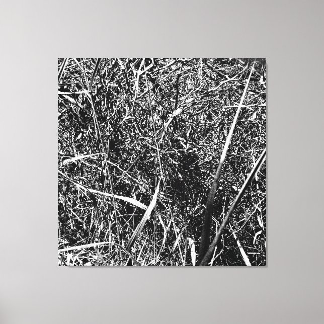 Black Alien Grass Leinwanddruck (Vorderseite)