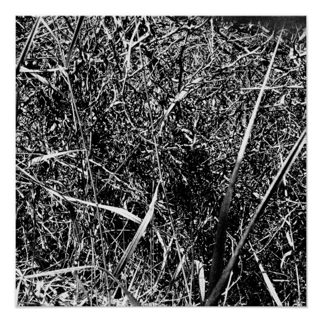 Black Alien Grass Poster (Vorderseite)