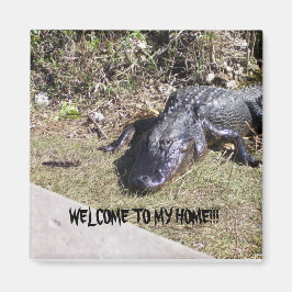 Black Alligator heißt Sie auf seiner Zuhause willk Magnet