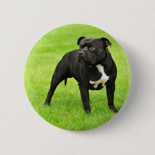 Black Amstaff Button