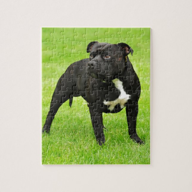 Black Amstaff Puzzle (Vertikal)