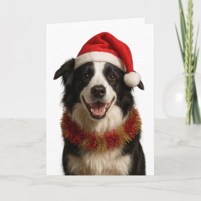 Black and and white Border Collie Christmas card Karte (Vorderseite)