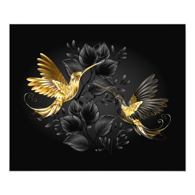Black and Gold Hummingbird Fotodruck (Vorne)