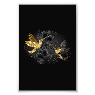 Black and Gold Hummingbird Fotodruck