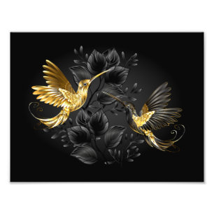 Black and Gold Hummingbird Fotodruck