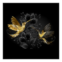 Black and Gold Hummingbird