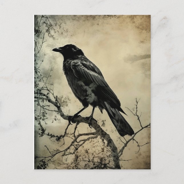 Black and Sepia Gothic Crow Postkarte (Vorderseite)