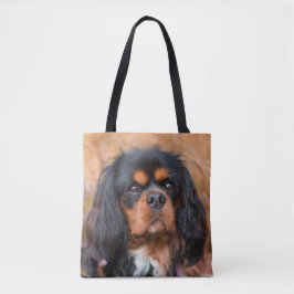 Black and Tan Cavalier King Charles Spaniel Dog
