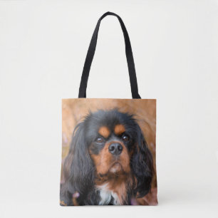Black and Tan Cavalier King Charles Spaniel Dog