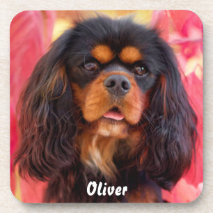 Black and Tan Cavalier King Charles Spaniel Dog Getränkeuntersetzer