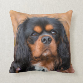 Black and Tan Cavalier King Charles Spaniel Dog Kissen