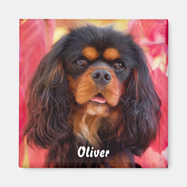 Black and Tan Cavalier King Charles Spaniel Dog Magnet (Vorne)