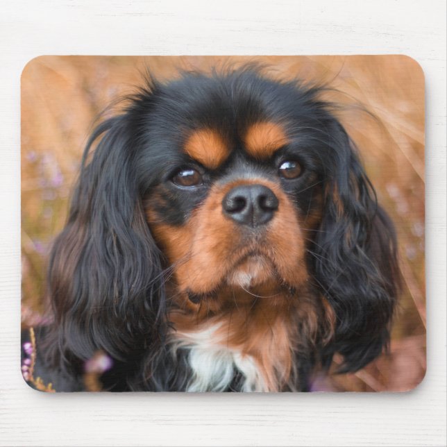 Black and Tan Cavalier King Charles Spaniel Dog Mousepad (Vorne)