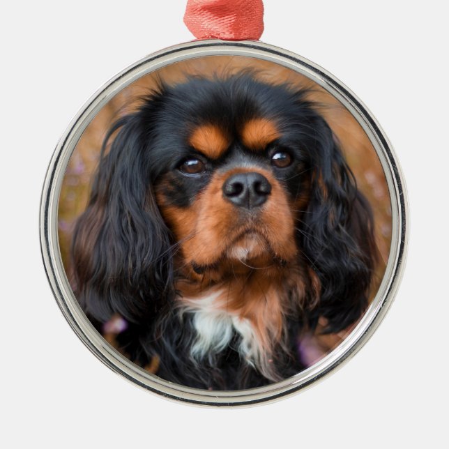 Black and Tan Cavalier King Charles Spaniel Dog Ornament Aus Metall (Vorne)