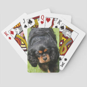 Black and Tan Cavalier King Charles Spaniel Dog Spielkarten