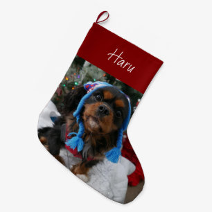 Black and Tan Cavalier King Charles Spaniel Großer Weihnachtsstrumpf