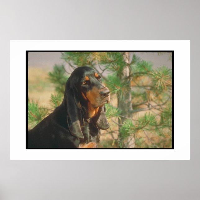 Black and Tan Coonhound Poster (Vorne)
