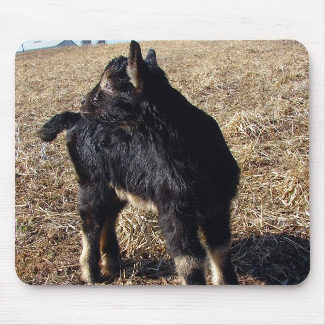 Black and Tan Kid Mousepad (Vorne)