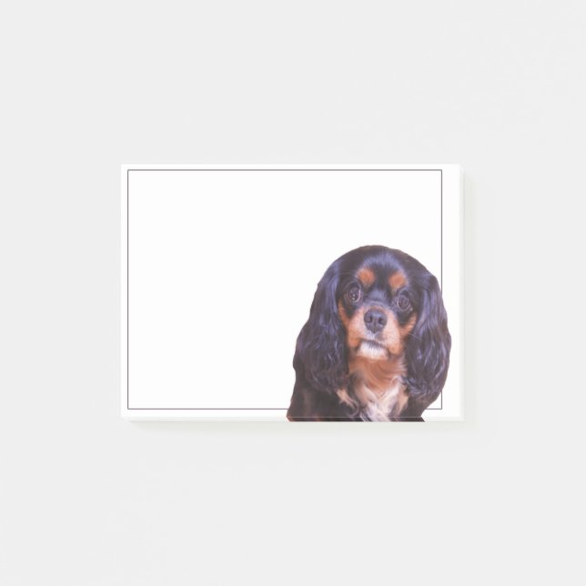 Black and Tan King Charles Spaniel Post It note Post-it Klebezettel (Vorderseite)