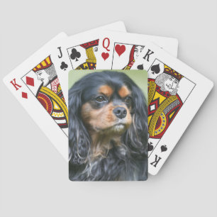 Black and Tan King Charles Spaniel spielen Karten Spielkarten
