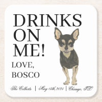 Black and Tan Tricolor Chihuahua Wedding