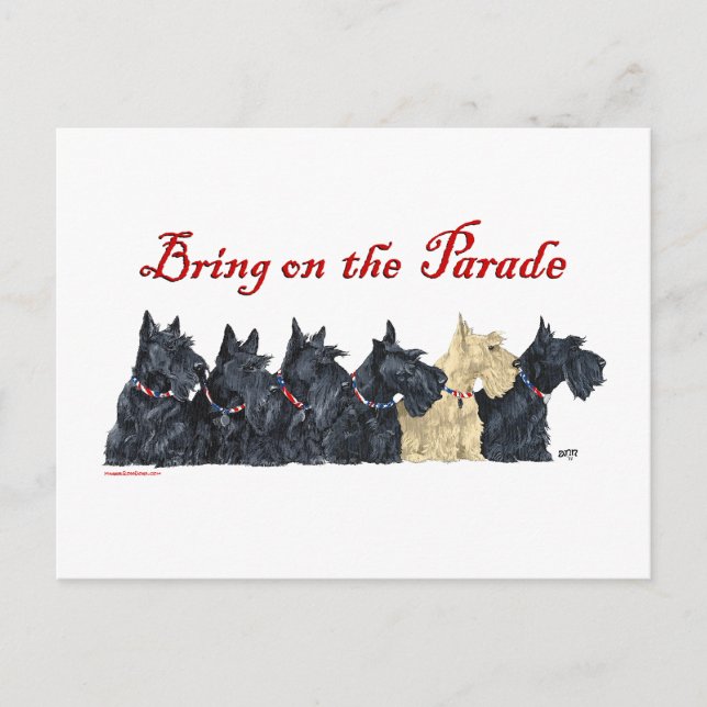 Black and Wheaten Scottish Terriers Postkarte (Vorderseite)