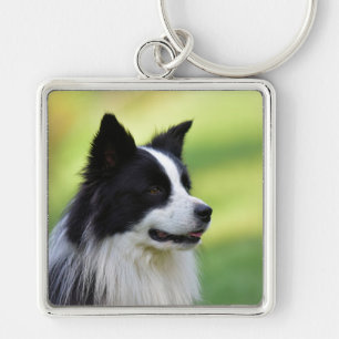 Black and White Border Collie Dog Schlüsselanhänger