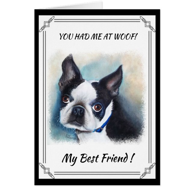BLACK AND WHITE BOSTON TERRIER (Vorne)
