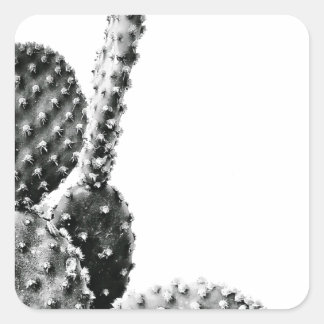 Black and White Cactus Zwart en Wit Quadratischer Aufkleber