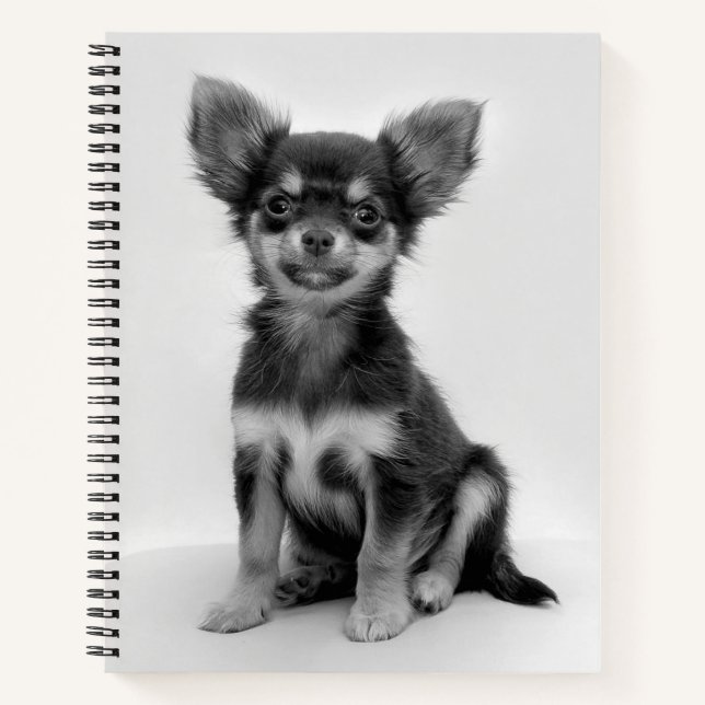Black and White Chihuahua Puppy Photo Notizbuch (Vorderseite)