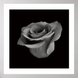 Black and White Flower Photography Poster