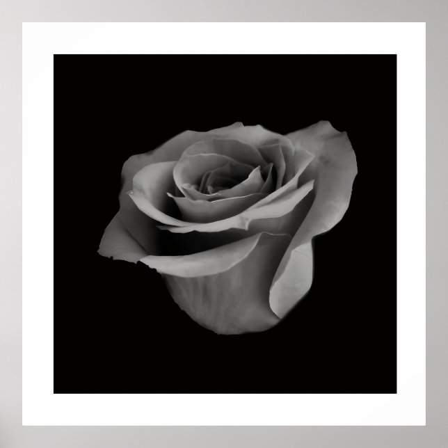 Black and White Flower Photography Poster (Vorne)