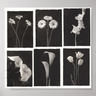 Black and White Flower Print Poster