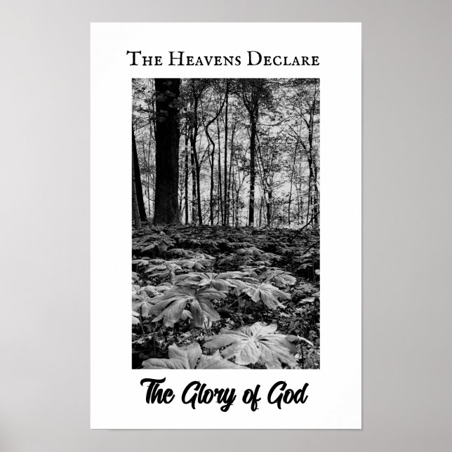 Black and White Forest Glory of God Poster (Vorne)
