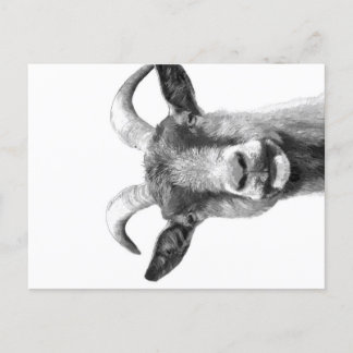 Black and White Goat _Funny Goat Canvas| Feiertagspostkarte