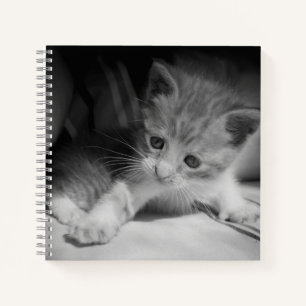Black and White Kitten Fotograph Notizbuch
