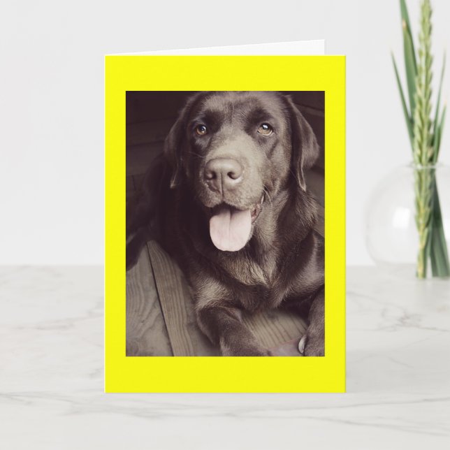 Black And White Labrador Retriever Dog Note Card Karte (Vorderseite)