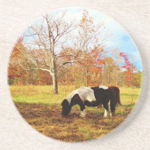 Black and White Miniature Pony / Horse Untersetzer