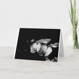 Black and White Orchid Branch Card Karte