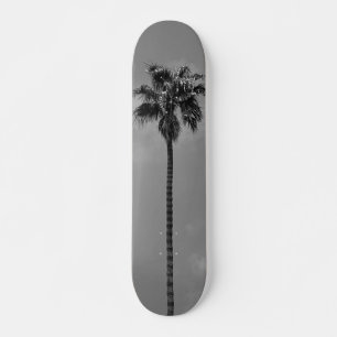 Black and White Palm Tree Skateboard