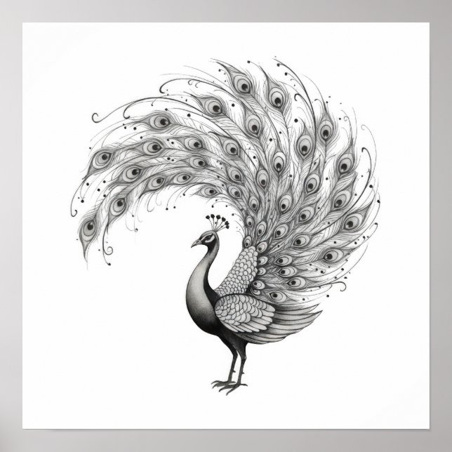Black and White Peacock Poster (Vorne)