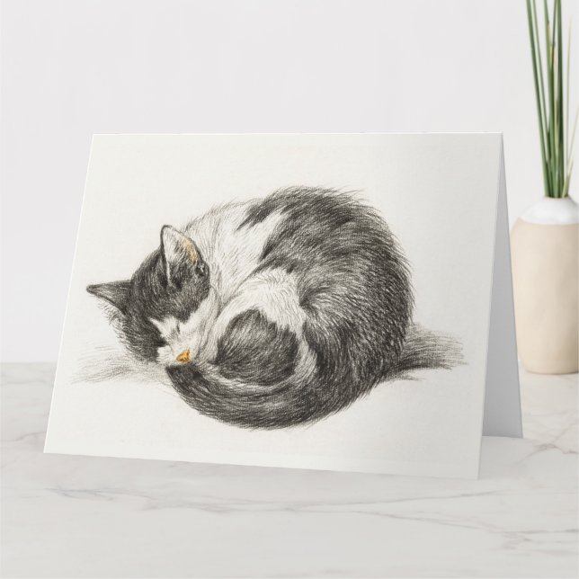 Black and white pencil drawing of a sleeping cat karte (Vorderseite)