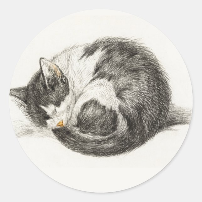 Black and white pencil drawing of a sleeping cat runder aufkleber (Vorderseite)